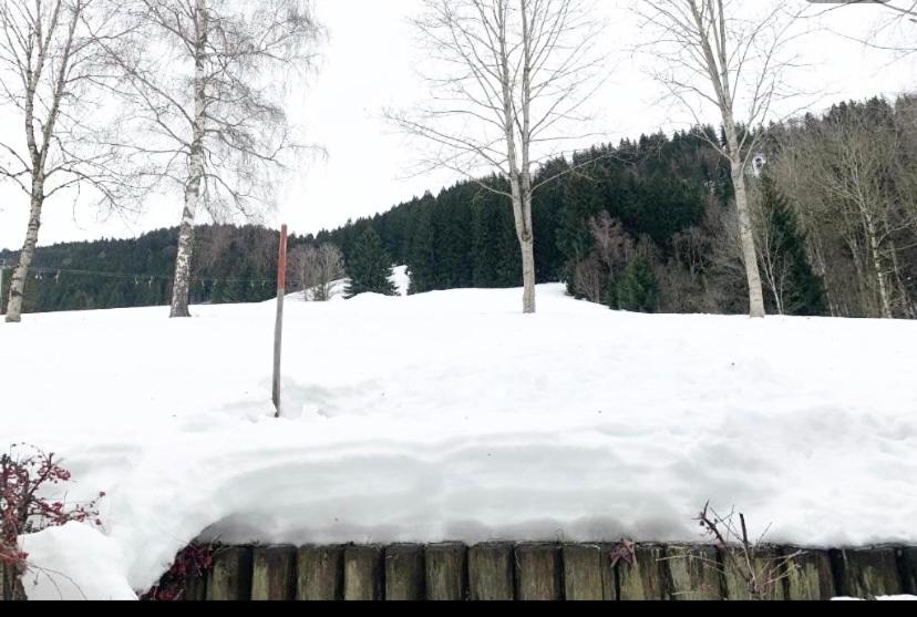 Fewo Alpenwiese Mit Hallenbad&Sauna Missen-Wilhams Extérieur photo