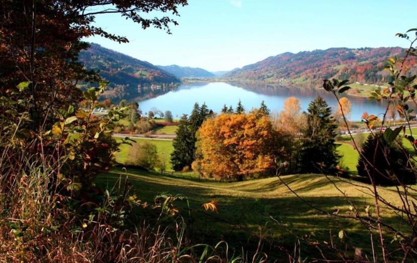 Fewo Alpenwiese Mit Hallenbad&Sauna Missen-Wilhams Extérieur photo